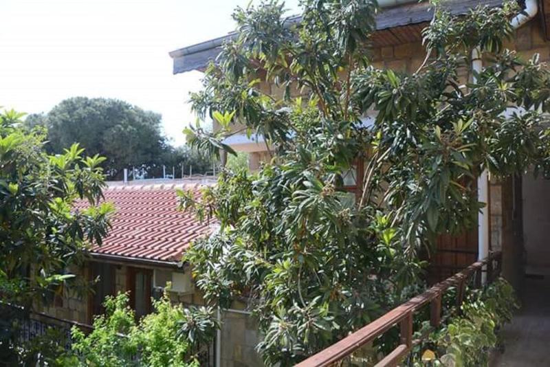 Antonios Motel Side Exterior photo